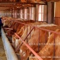 【鲁西黄牛】适合湖南养殖的肉牛品种&mdash;鲁西黄牛肉牛，育肥黄牛